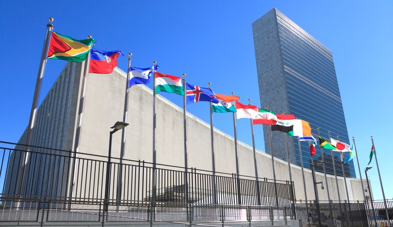 The U.N.'s 