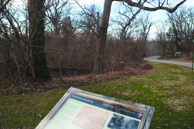 Arlington National Cemetery expansion stalled in hopes of saving old trees