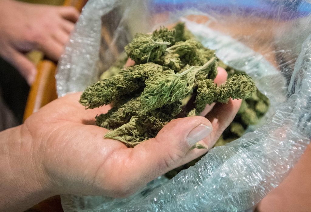 Reefer Madness