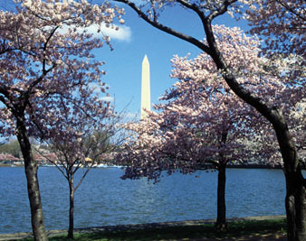 Spielberg’s Escort Service