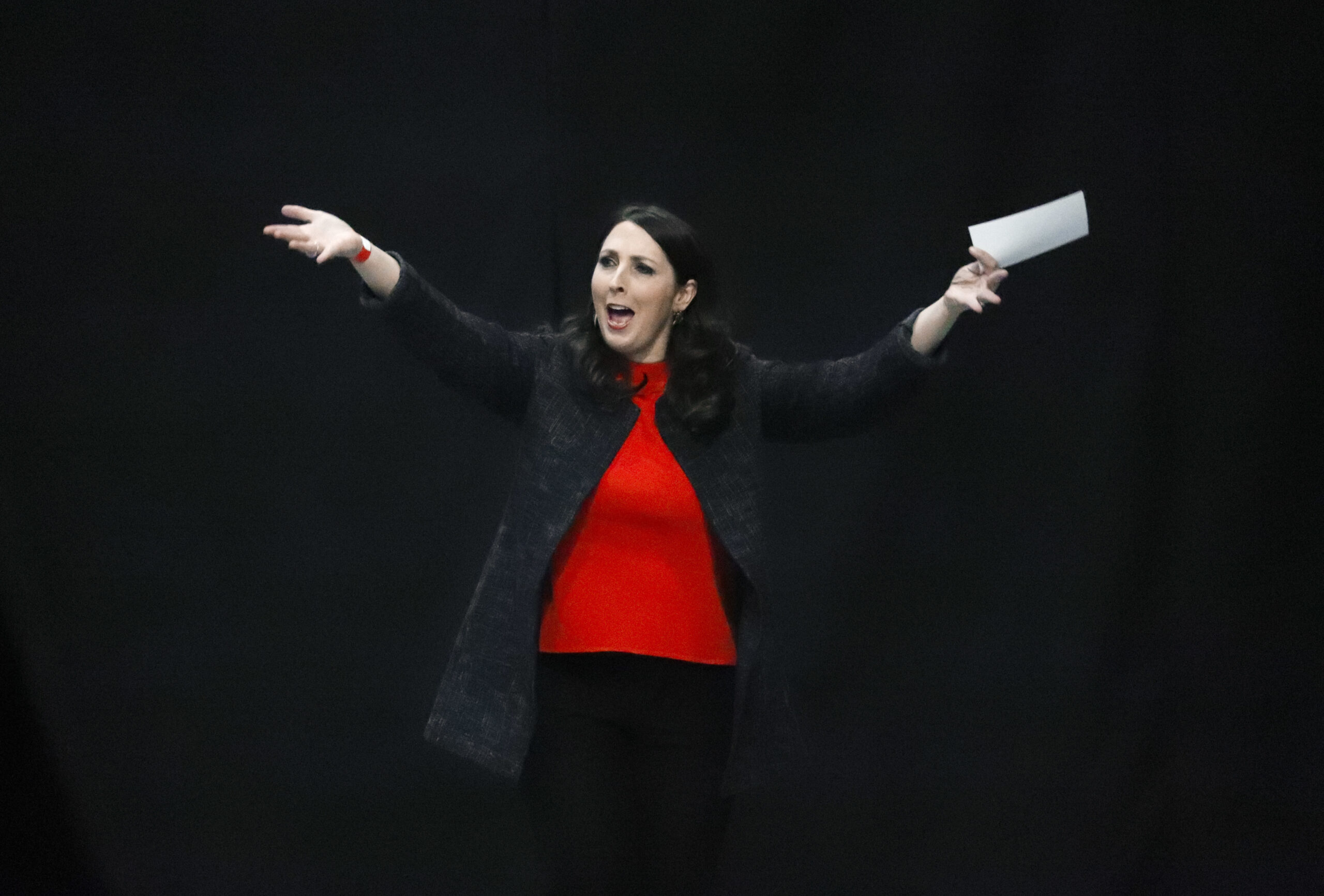 Ronna Romney McDaniel chosen as RNC chair