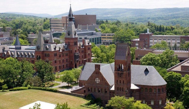 According to the flyer, Cornell's Safe Place project aims 
