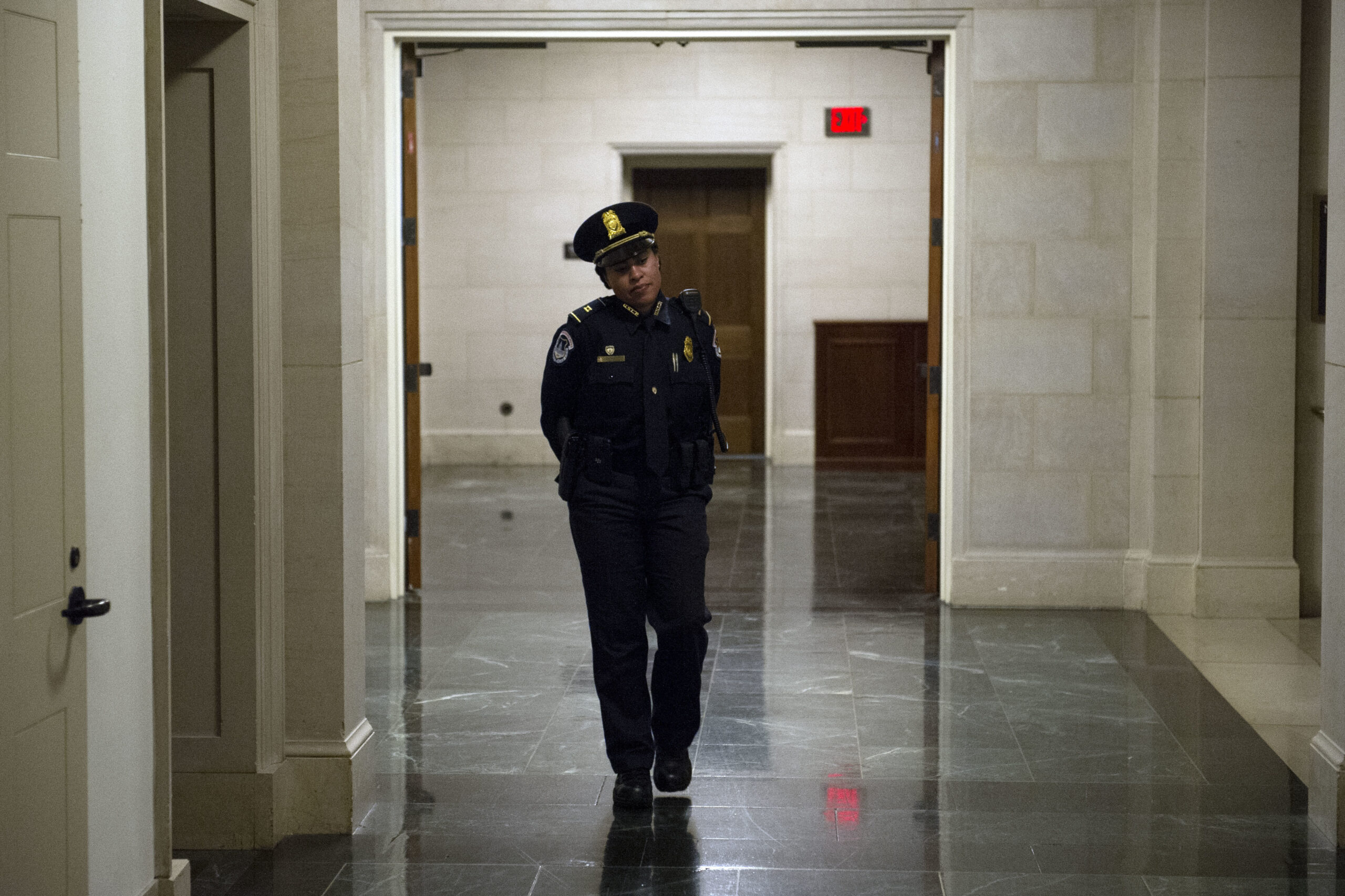 Congressional IT contractors under investigation