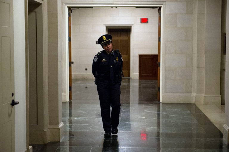 Five brothers who were working in the U.S. Capitol as IT contractors were arrested Thursday after a months-long investigation by federal law enforcement officials. (AP Photo/Cliff Owen)