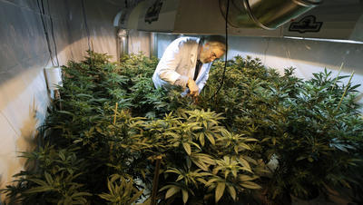 House lawmakers introduce bills legalizing, taxing pot