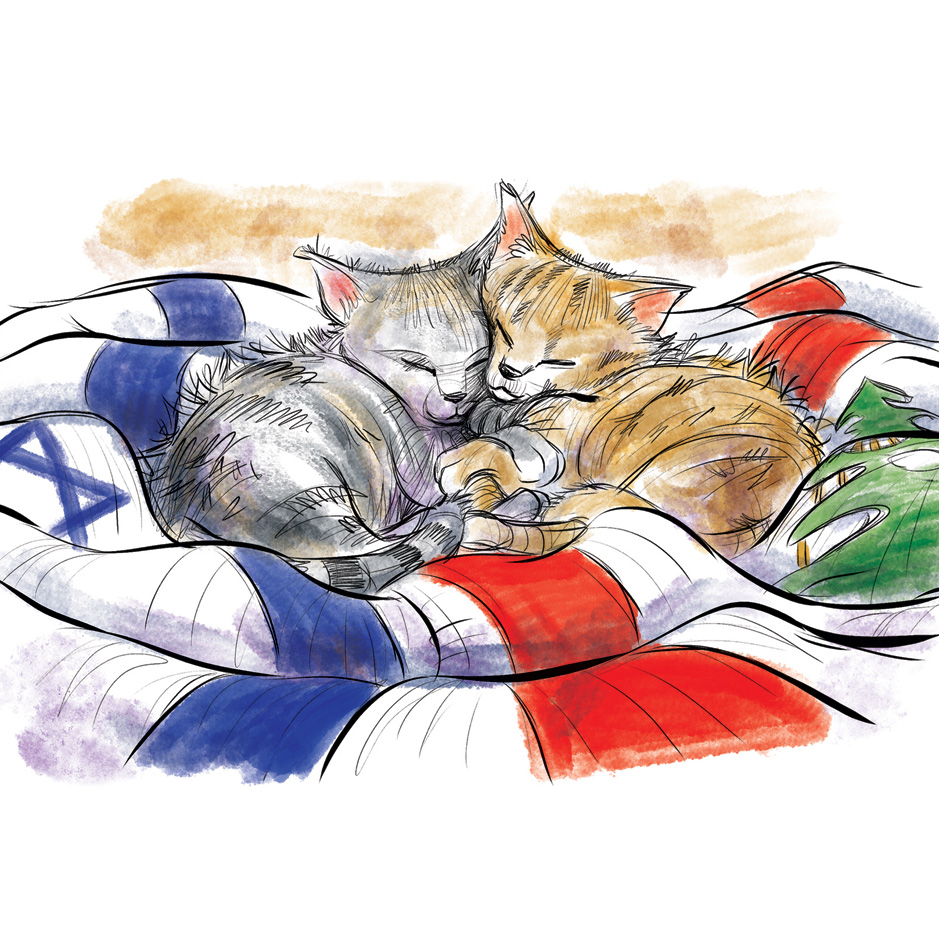 Sam and the Sabra Tomcat