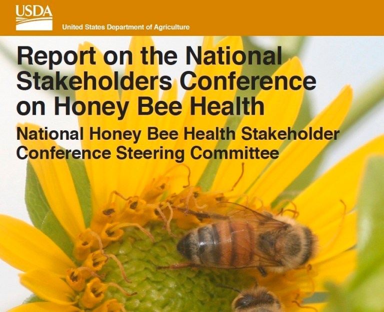 Food scare: Not enough bees to pollinate crops