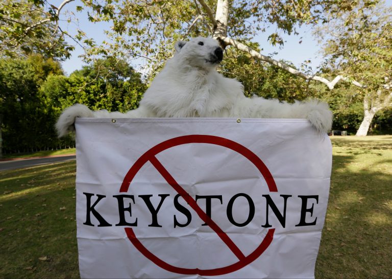 A member of the Center for Biological Diversity in polar bear costume protests the Keystone XL pipeline. (AP/Damian Dovarganes)