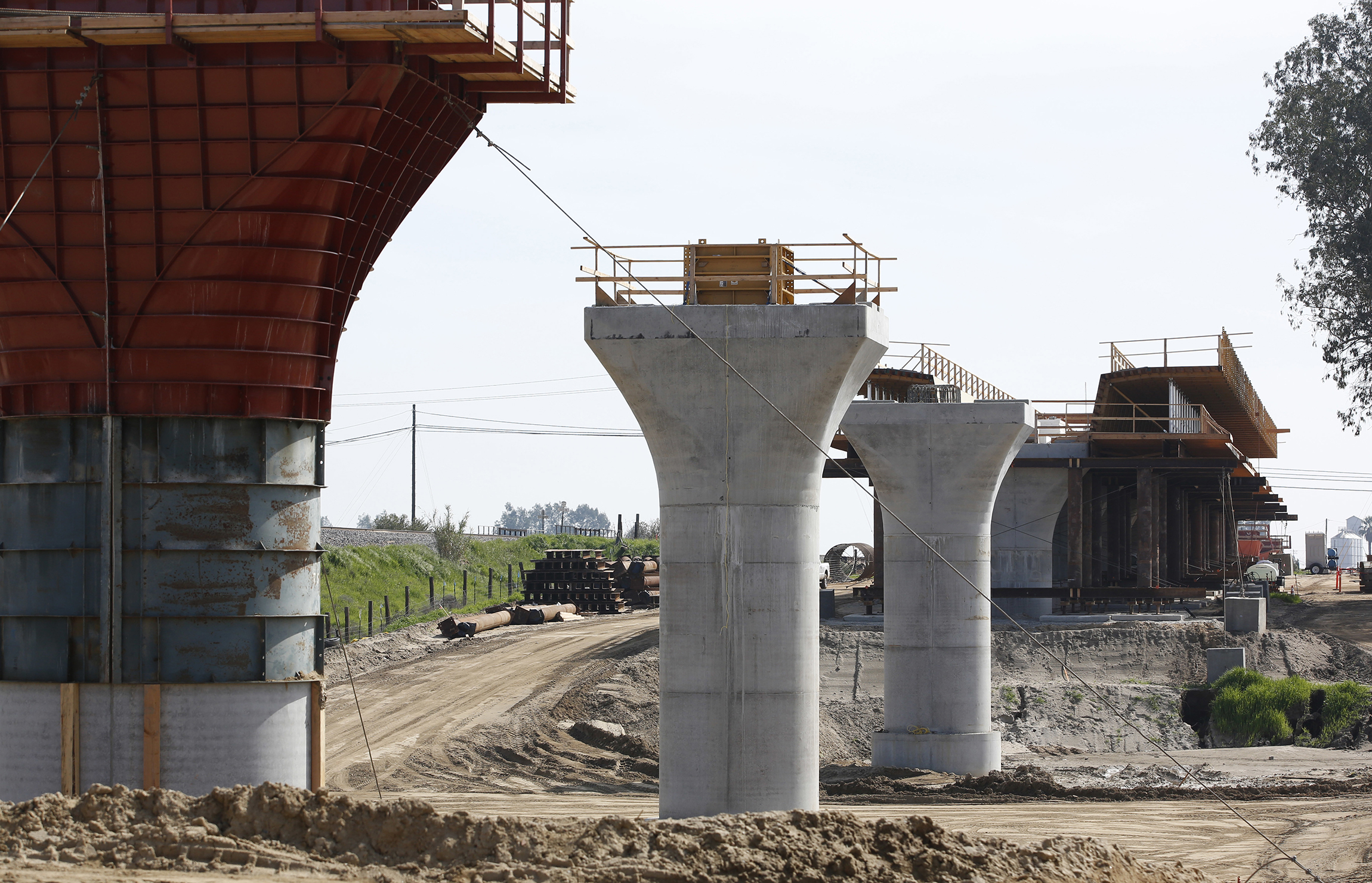 California’s bullet train on the track to extinction