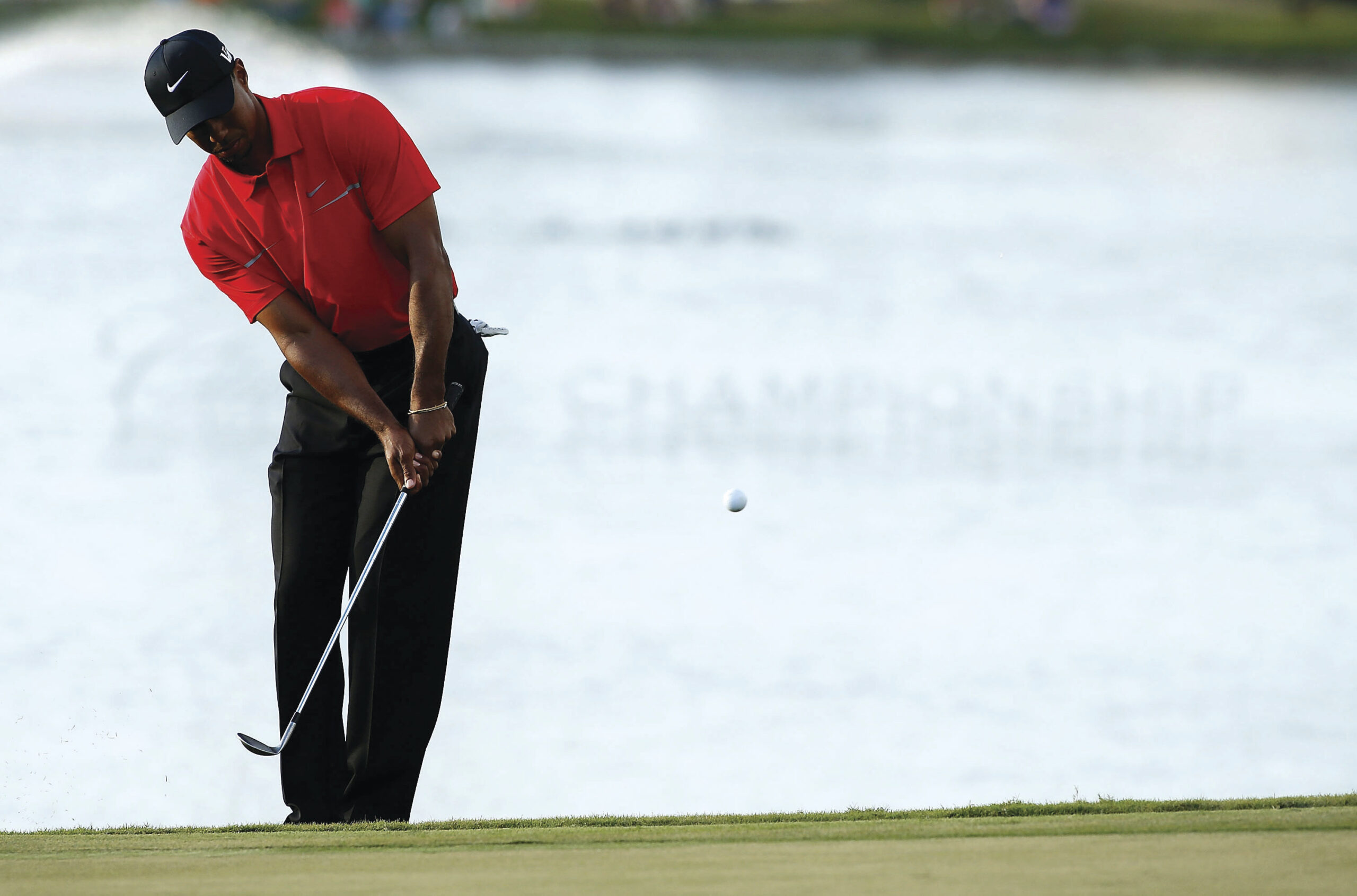 Tiger Woods putts it in perspective at Doral