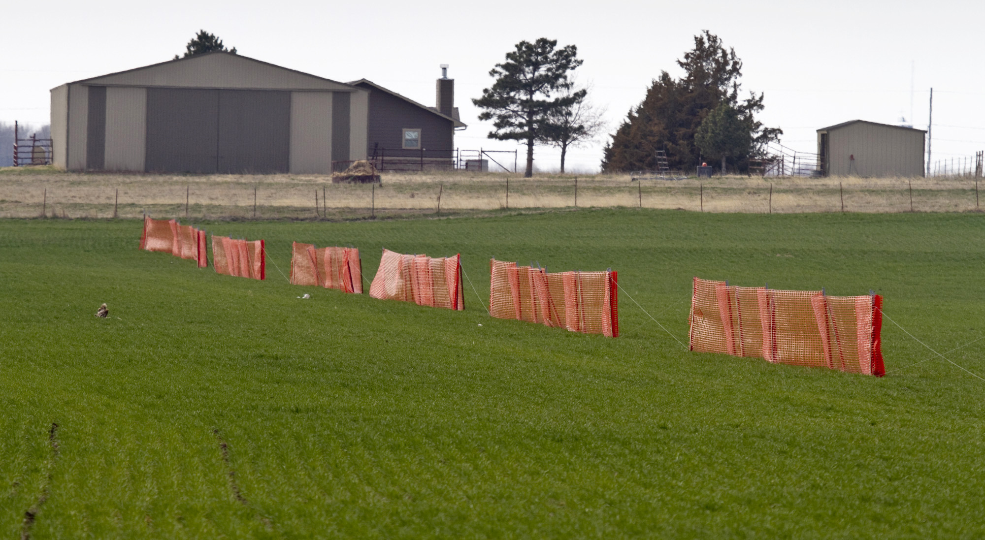 Record agricultural yields should allay climate fears