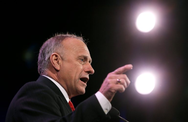 Rep. Steve King, R-Iowa speaks during the Freedom Summit, Saturday, Jan. 24, 2015, in Des Moines, Iowa. (AP Photo/Charlie Neibergall)