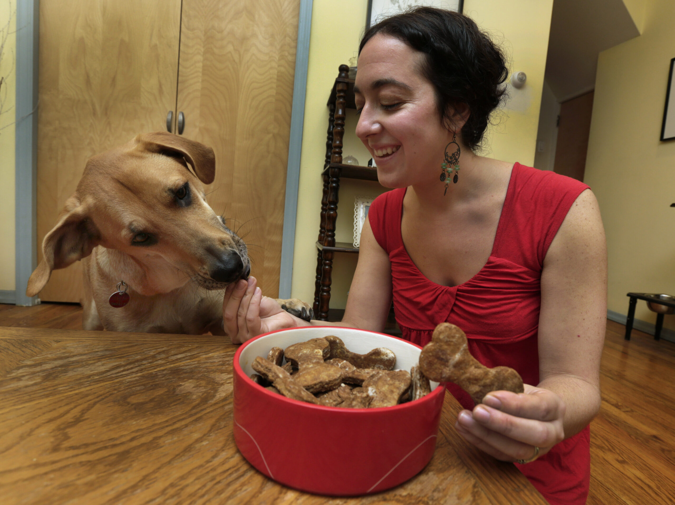 Family dog is on the guest list for holiday dinner