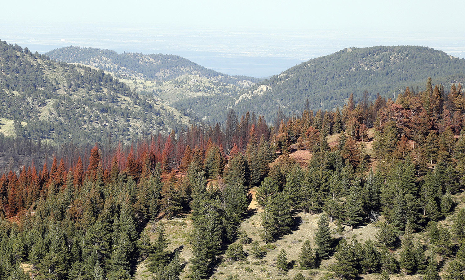 Colorado Dems: What does giving federal land to states mean?