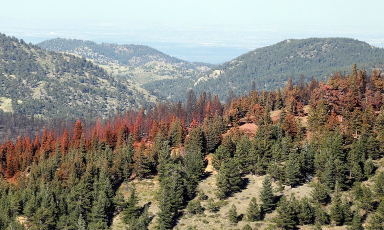 Colorado Dems said the federal government spent millions solely on fire suppression and prevention on federal lands in Colorado. (AP Photo/Brennan Linsley)