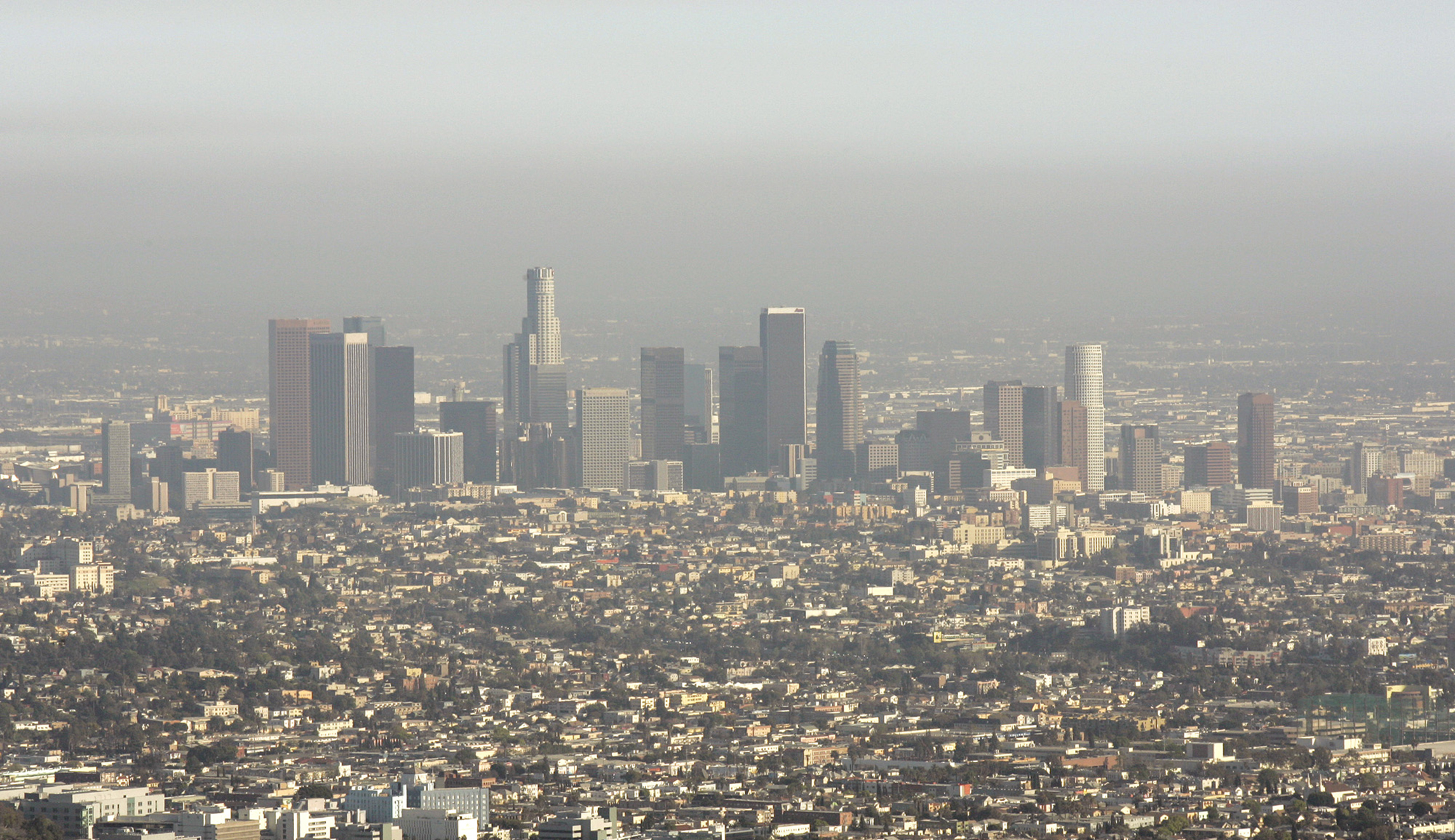 Suing oil companies for climate change is worse than childish