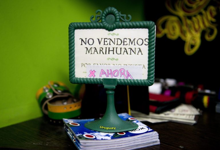 Uruguayan pot marketplace may go up in smoke