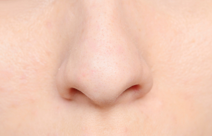Poop smell has (surprisingly) long history in national defense