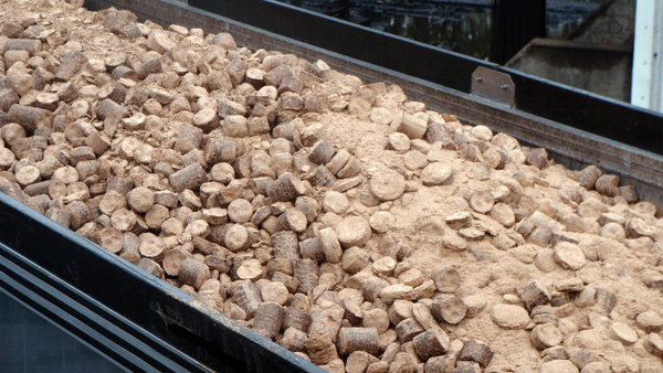 NYTimes: Power plants try burning wood with coal to cut carbon emissions