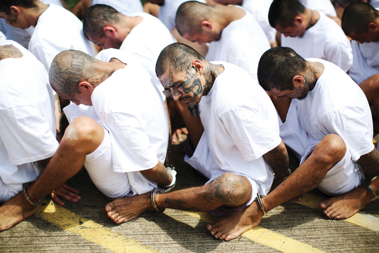 A Glimpse Inside a Violent Gang