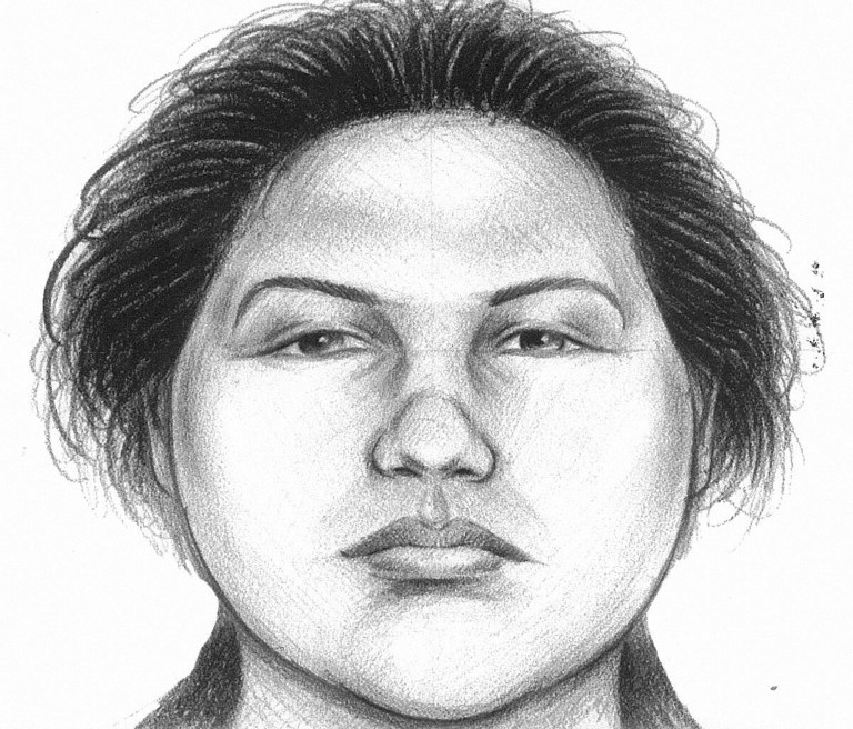   In this image provided by the New York City Police Department, a composite sketch showing the woman believed to have pushed a man to his death in front of a subway train on Thursday, Dec. 27, 2012 is shown. Police arrested Erika Menendez on Saturday, Dec. 29, 2012, after a passer-by on a street noticed she resembled the woman seen in a surveillance video. The attack was the second time this month that a man was pushed to his death in a city subway station. (AP Photo/New York City Police Department)  
