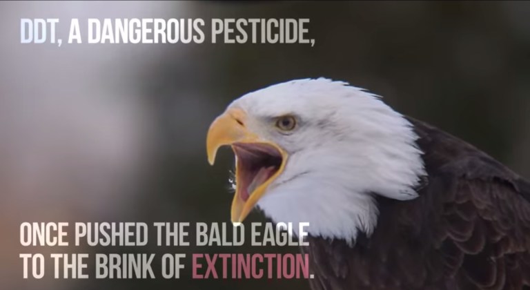 (Photo courtesy of screenshot.)