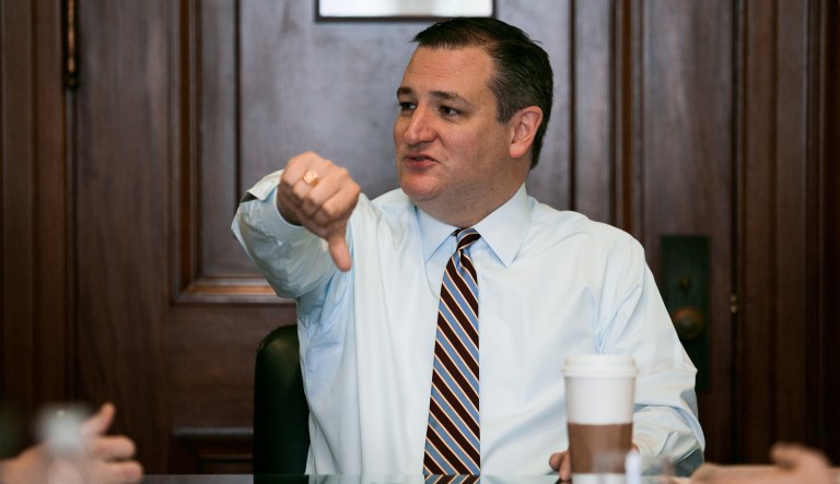 Sen. Ted Cruz, R-Texas, said Thursday he does not believe the U.S. should be granting a path to citizenship to anybody here illegally, including so-called 
