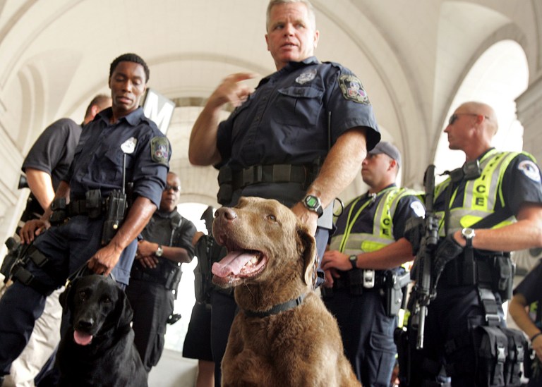 In the wake of the terror attacks in Paris, France, 22 percent of registered voters in a new Morning Consult survey rank national security as the top issue influencing their vote in the current election cycle, marking a 5-point increase from last week. (Examiner file)