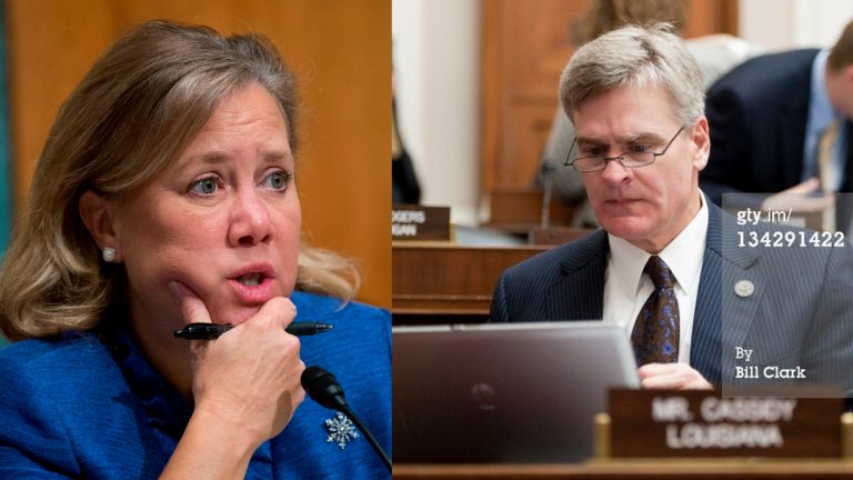Democratic Sen. Mary Landrieu is being tested in November by Republican Rep. Bill Cassidy. (AP Photo/Getty Photo)
