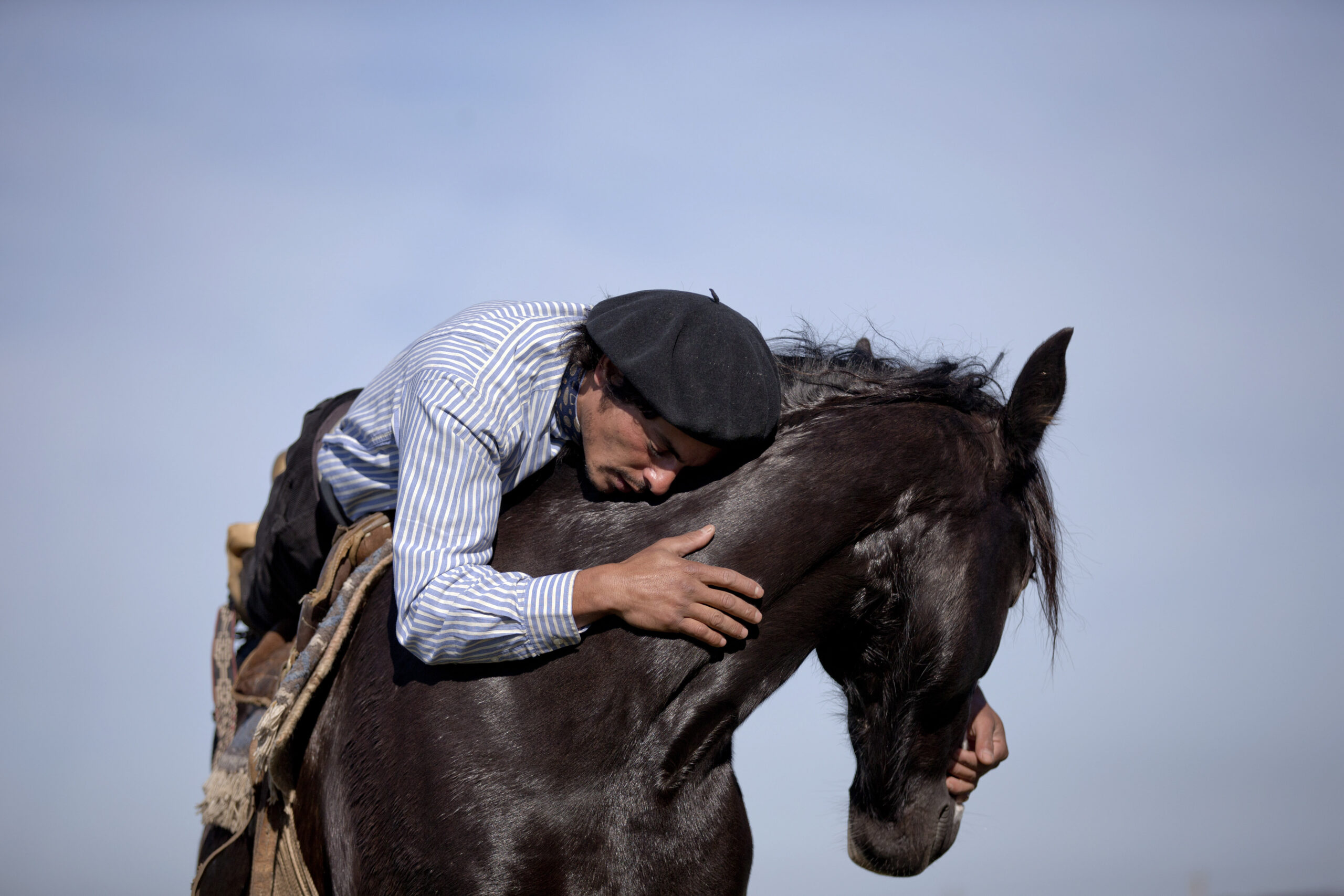 Argentine gaucho tames with whispers, not whips