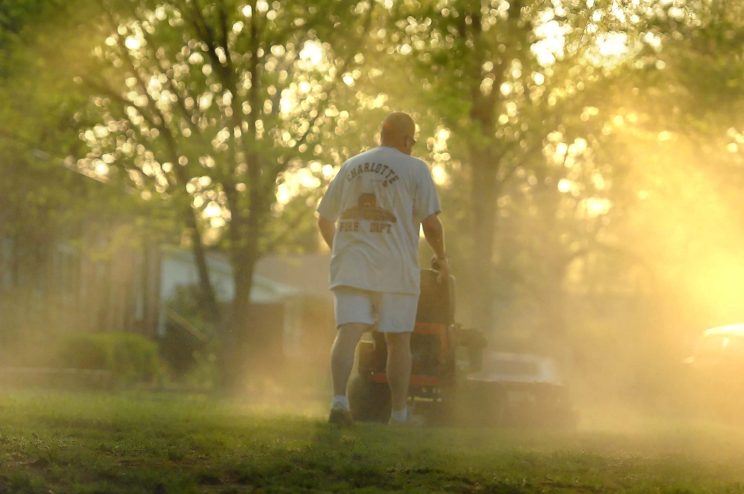 New allergy tablets offer alternative to shots