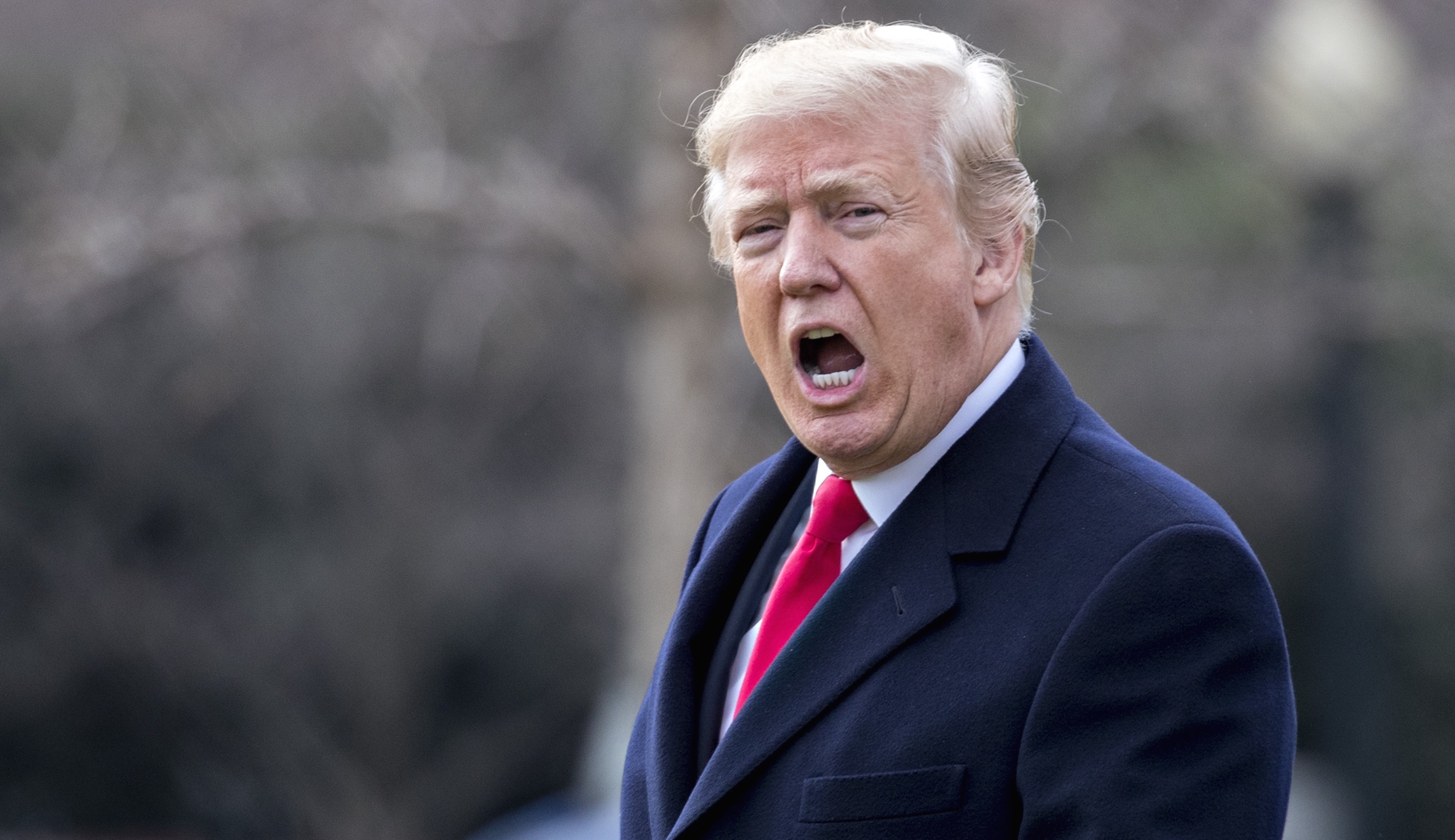 Lawmakers met with psychiatrist who openly questioned Trump’s mental health in book: Report