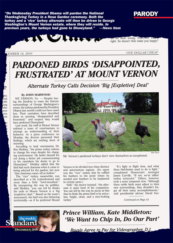 Thanksgiving with a Couple of Turkeys