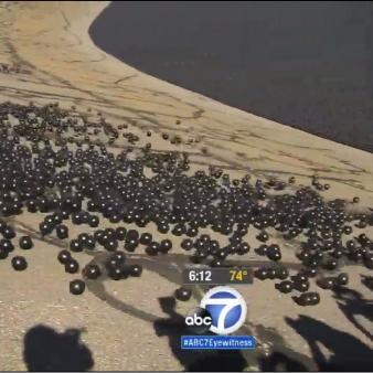 Plastics to the Rescue