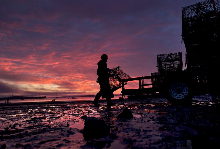 Maine lobster fishing season off to slow start