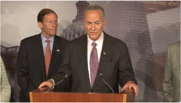 VIDEO: Charles Schumer, Lindsey Graham propose new media shield law