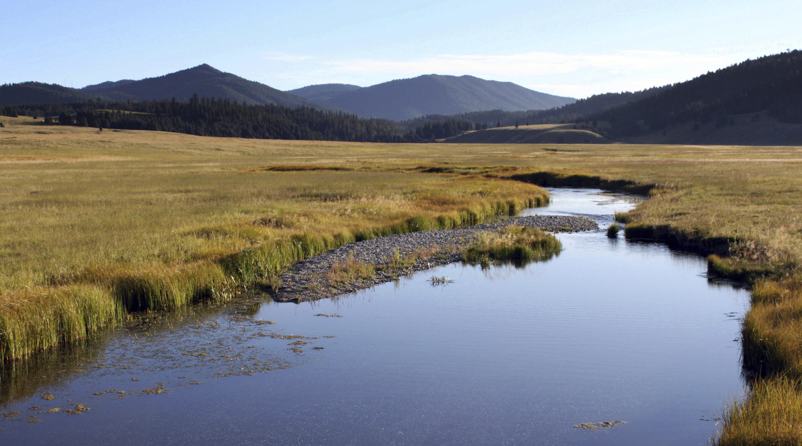 How nepotism, mismanagement and corruption became emblematic of our nation’s national parks