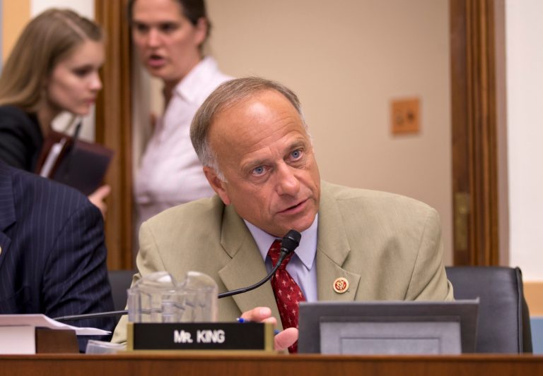 Rep. Steve King, R-Iowa, told a conservative news website that 