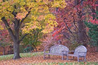 Brookside Gardens wins ‘green’ award