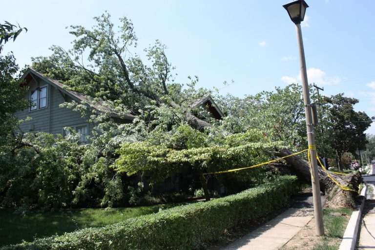 Damage caused to the home of Martin and Judy King by Hurricane Irene in Arlington, Va., Sunday, August 28, 2011.