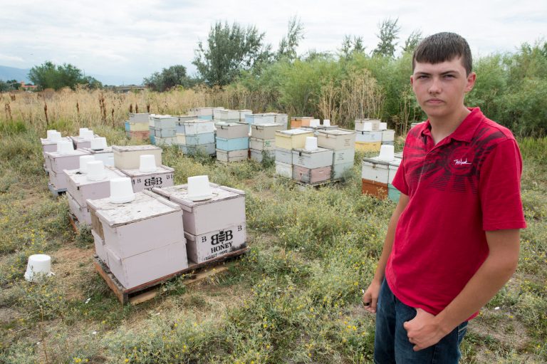 In this photo taken on Wednesday, Aug., 13, 2014, Bryce Bunderson, of Deweyville, poses with his hives that his bees were recently stolen from in Layton, Utah. (AP Photo/The Salt Lake Tribune, Rick Egan )  DESERET NEWS OUT; LOCAL TELEVISION OUT; MAGS OUT