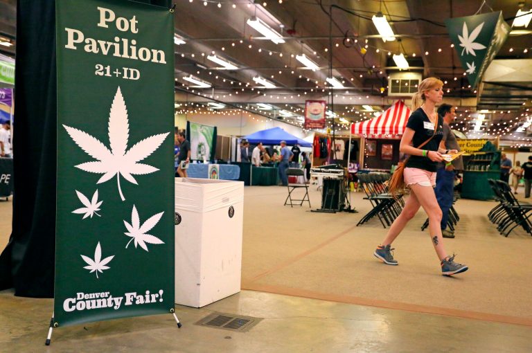 A visitor walks through the pot pavilion at Denver County Fair, the nation's first county fair to allow pot competitions, in Denver. (AP Photo/Brennan Linsley)