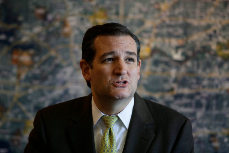 Sen. Cruz, R-Texas reminded Republican conservatives of the political power of being pro-economic growth. (AP Photo/Tony Gutierrez)
