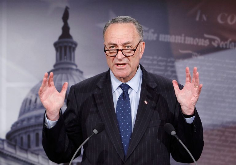 The Senate approved a 10-year extension of a ban on plastic guns Monday, but chose not to adopt Sen. Chuck Schumer's proposal to tighten rules on guns created with 3-D printers. (Photo by Alex Wong/Getty images)