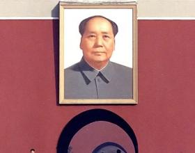 A Terrific Experience