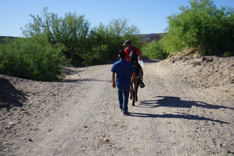 Border Bike Trip, Day 22: Everything Is Biggest in Brewster County, Texas