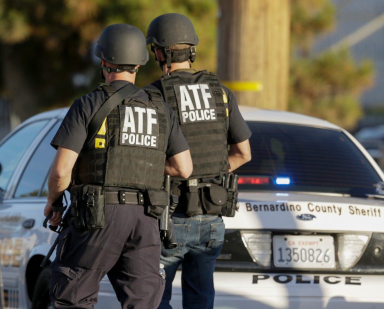 A new poll says people fear home-grown terrorism more than they fear terrorists entering the country from abroad. (AP Photo/Damian Dovarganes)