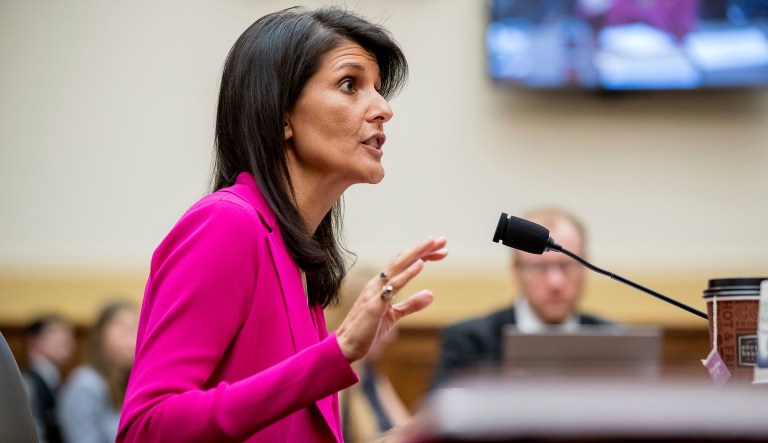 Defense Secretary James Mattis echoed Haley's statements Wednesday. (AP Photo/Andrew Harnik)