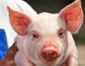 GOP Proposes Earmark Moratorium in Wake of PMA Scandal