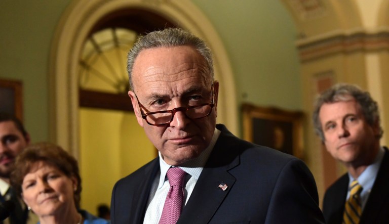 Senate Minority Leader Chuck Schumer, D-N.Y., said Monday that immigration reform and government spending talks between lawmakers are going well, in spite of President Trump butting in intermittently. (AP Photo/Susan Walsh)
